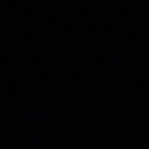 Meet your Posher, Everick